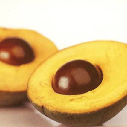 ペルーの果物 ルクマ
